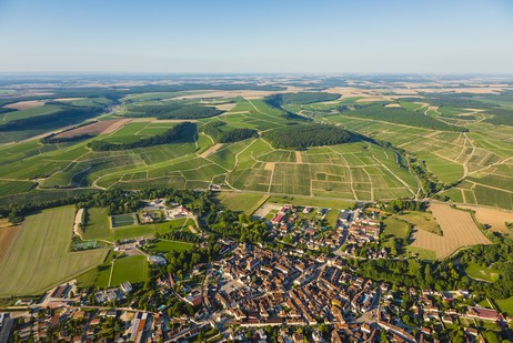 Chablis Grand Cru