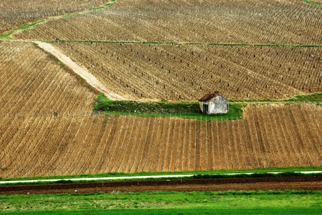 Climat Côte de Fontenay