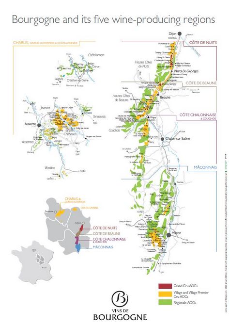「ブルゴーニュ/Bourgogneと5つのワイン生産地区」