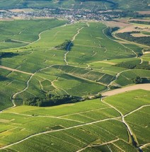 Chablis Premier Cru